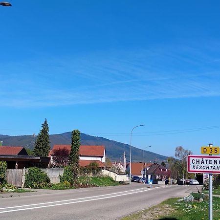 Gite Le Marronnier - Au Calme - Parking & Terrasse - Pres De Colmar Et Riquewihr - Route Des Vins ชาเตอนัวส์ ภายนอก รูปภาพ