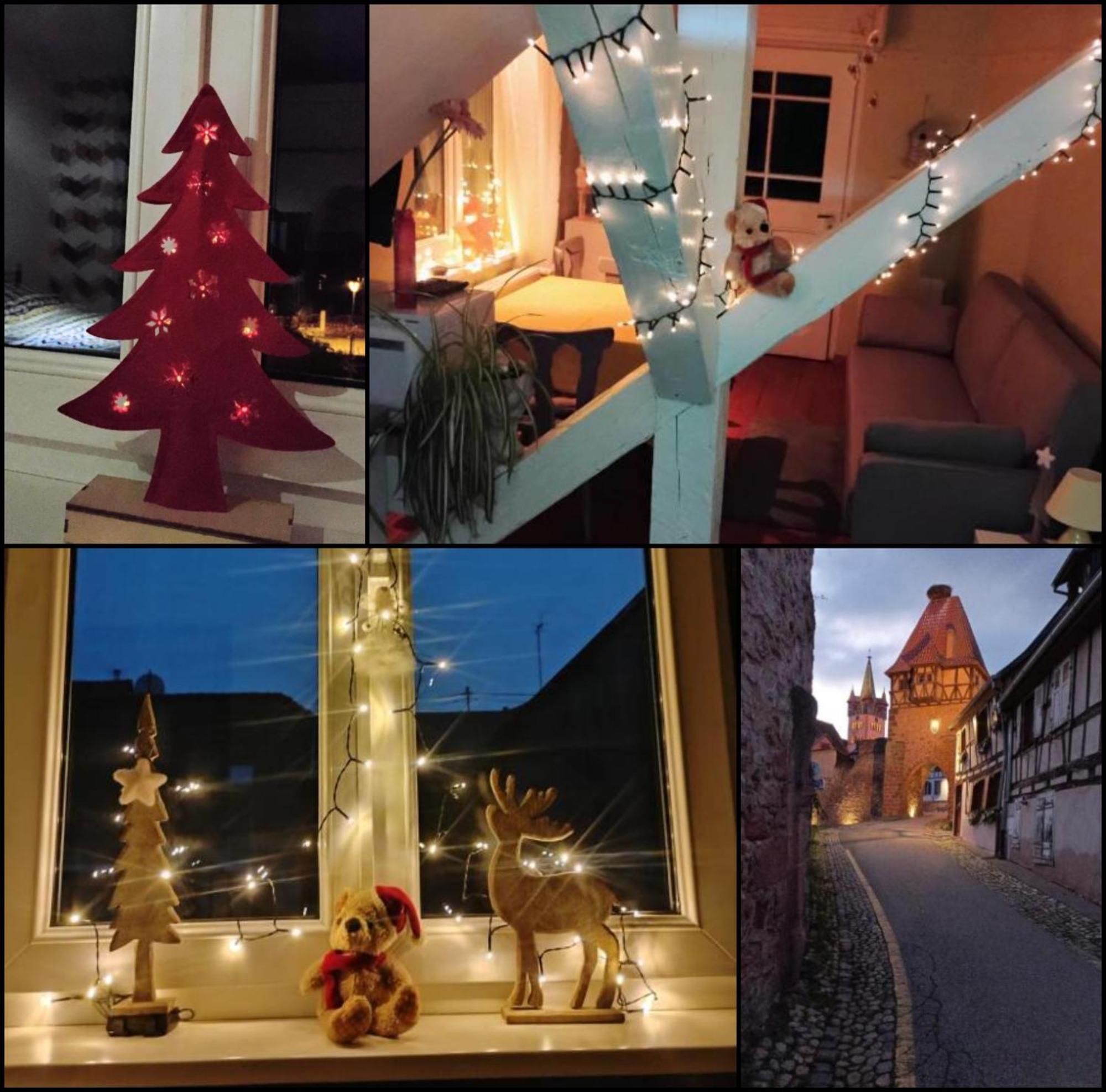 Gite Le Marronnier - Au Calme - Parking & Terrasse - Pres De Colmar Et Riquewihr - Route Des Vins ชาเตอนัวส์ ภายนอก รูปภาพ