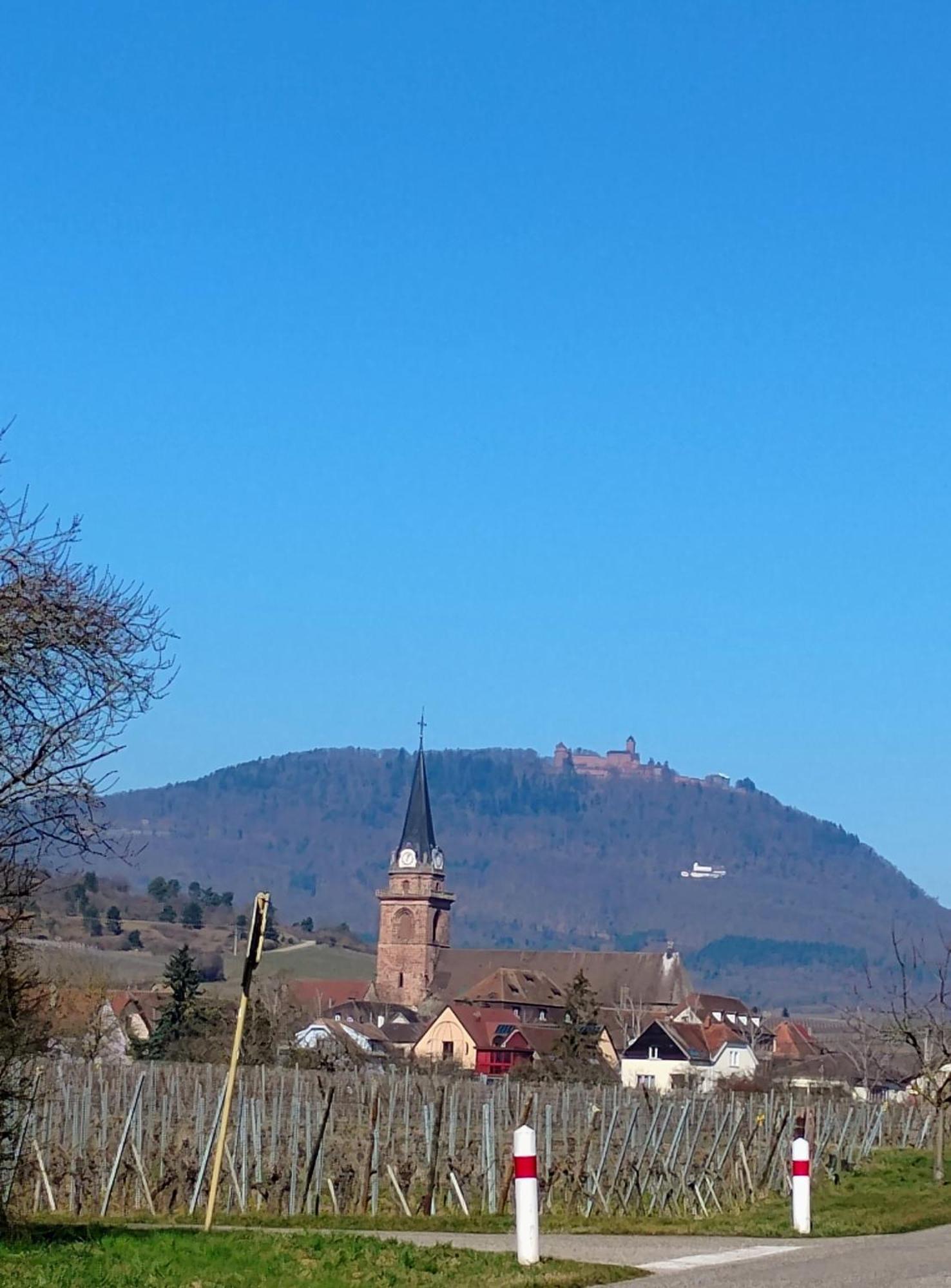 Gite Le Marronnier - Au Calme - Parking & Terrasse - Pres De Colmar Et Riquewihr - Route Des Vins ชาเตอนัวส์ ภายนอก รูปภาพ