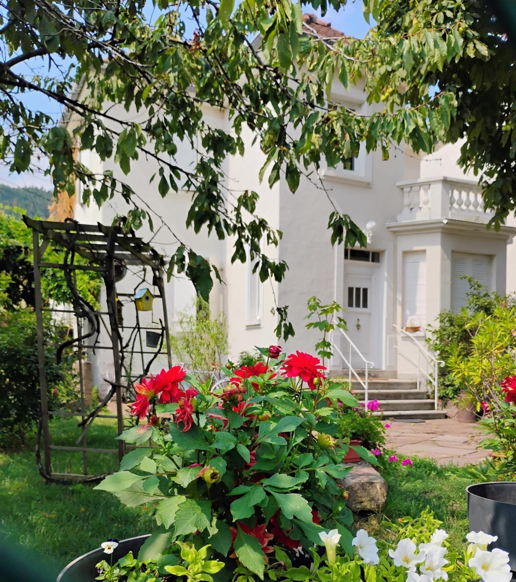 Gite Le Marronnier - Au Calme - Parking & Terrasse - Pres De Colmar Et Riquewihr - Route Des Vins ชาเตอนัวส์ ภายนอก รูปภาพ