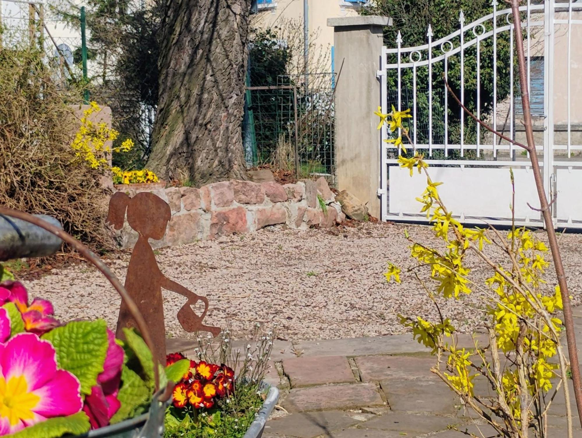 Gite Le Marronnier - Au Calme - Parking & Terrasse - Pres De Colmar Et Riquewihr - Route Des Vins ชาเตอนัวส์ ภายนอก รูปภาพ