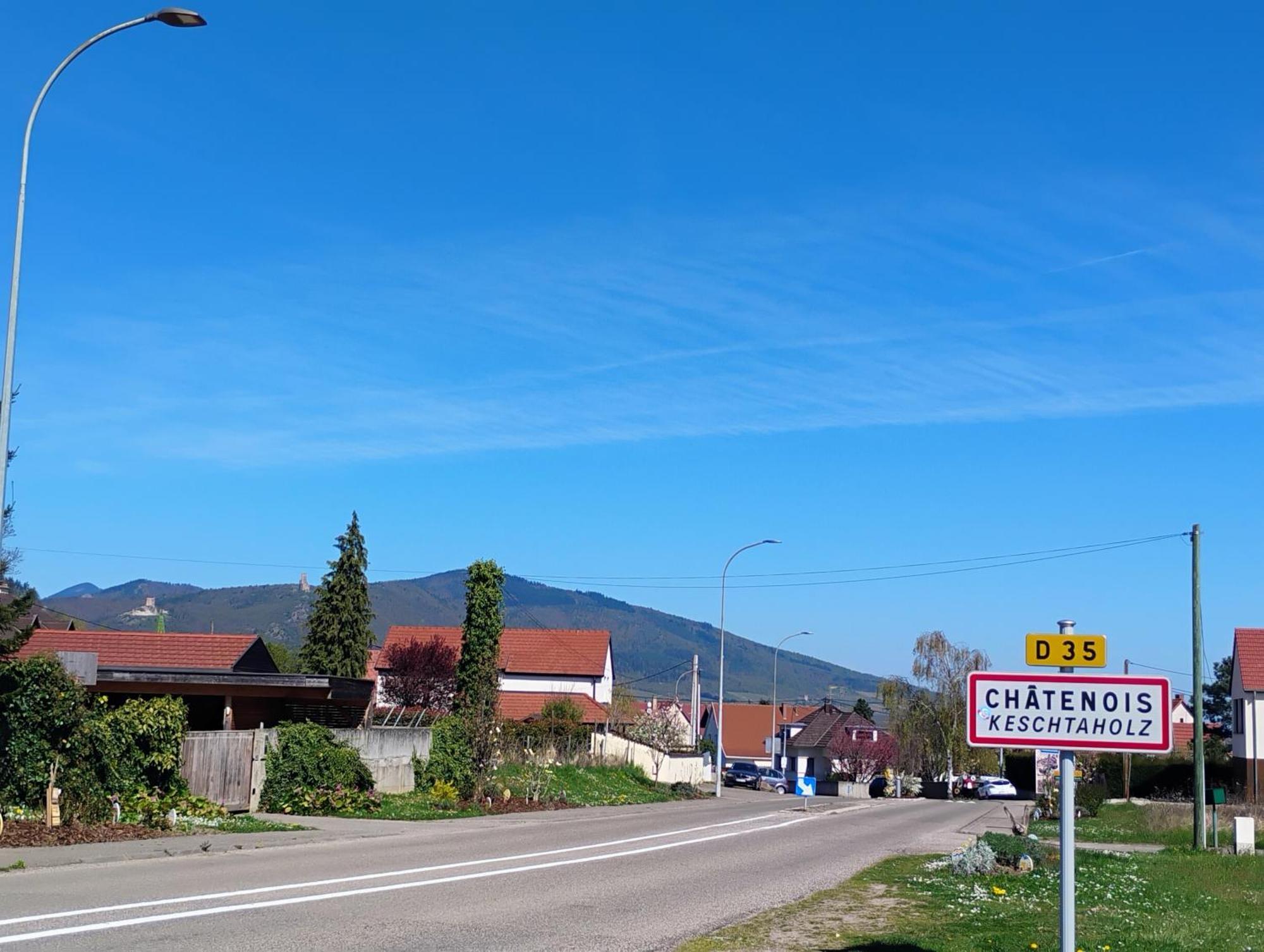 Gite Le Marronnier - Au Calme - Parking & Terrasse - Pres De Colmar Et Riquewihr - Route Des Vins ชาเตอนัวส์ ภายนอก รูปภาพ
