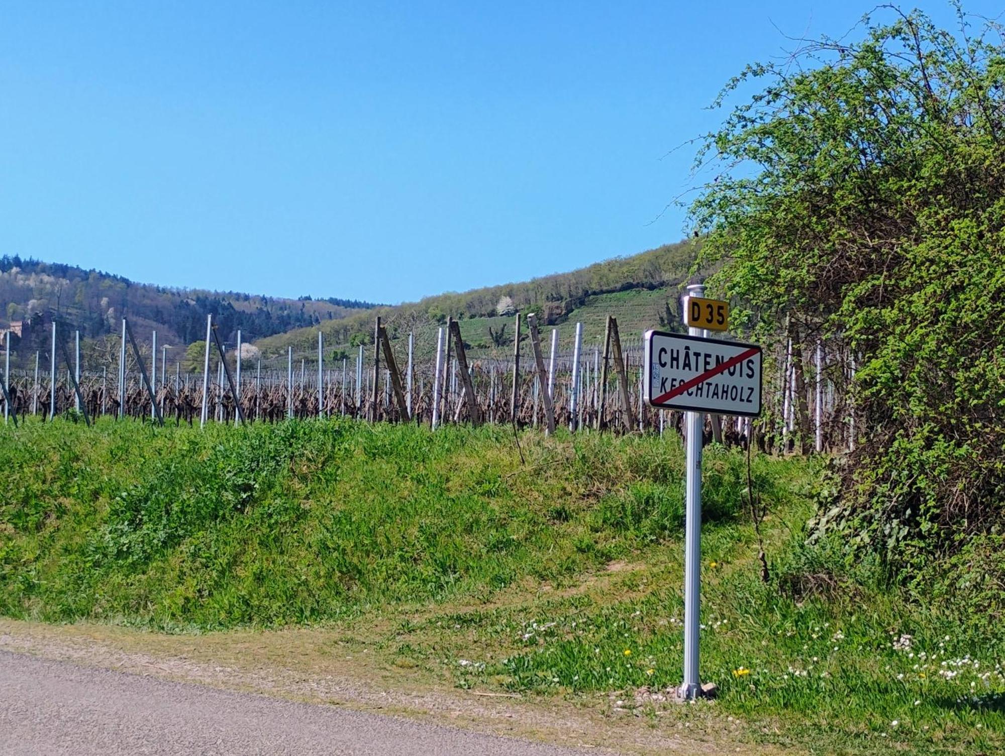Gite Le Marronnier - Au Calme - Parking & Terrasse - Pres De Colmar Et Riquewihr - Route Des Vins ชาเตอนัวส์ ภายนอก รูปภาพ