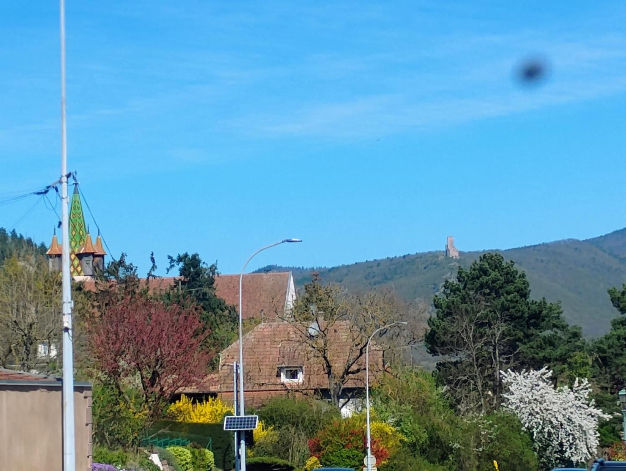Gite Le Marronnier - Au Calme - Parking & Terrasse - Pres De Colmar Et Riquewihr - Route Des Vins ชาเตอนัวส์ ภายนอก รูปภาพ