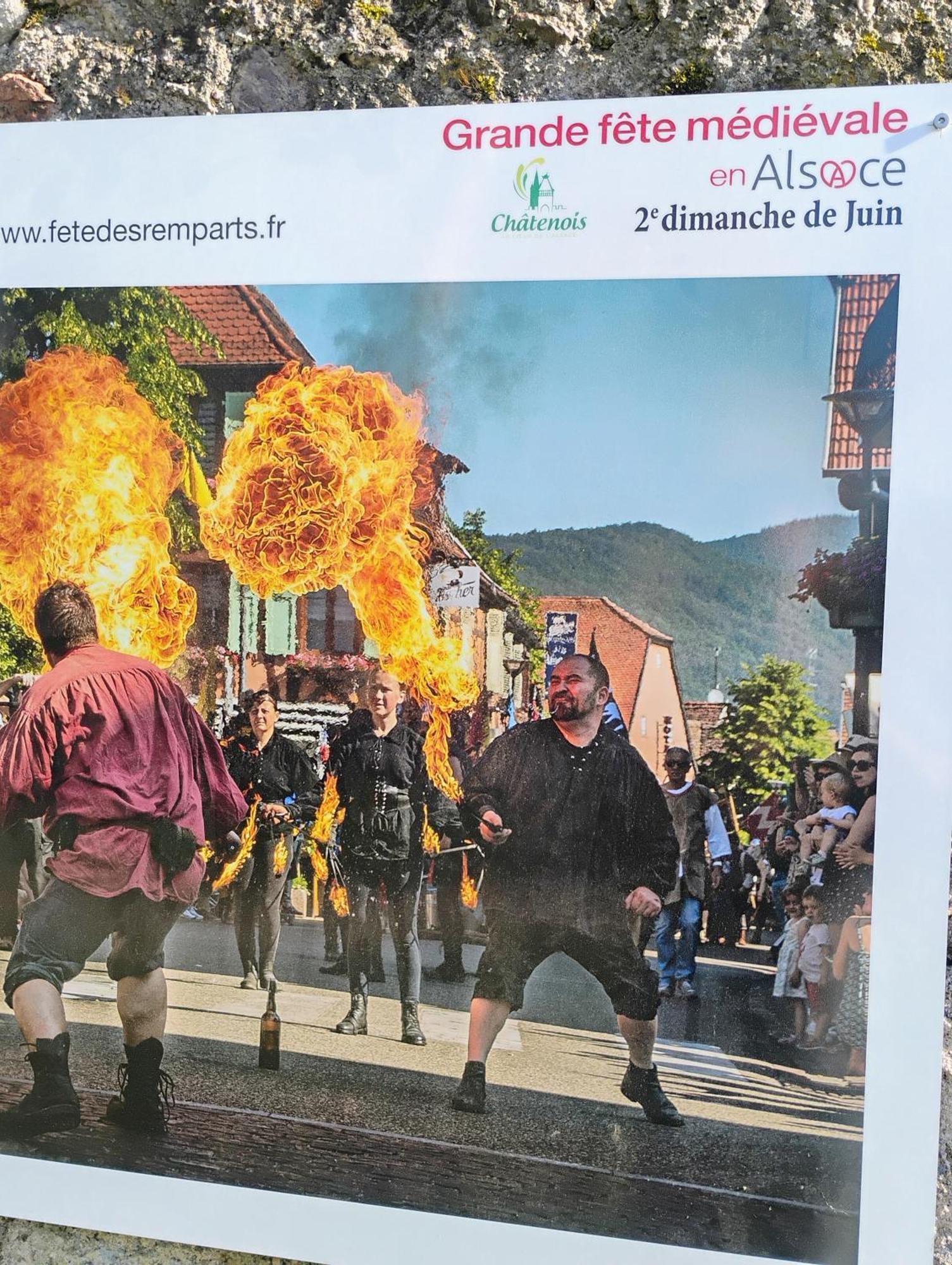 Gite Le Marronnier - Au Calme - Parking & Terrasse - Pres De Colmar Et Riquewihr - Route Des Vins ชาเตอนัวส์ ภายนอก รูปภาพ